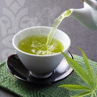 Té di canapa con CBD