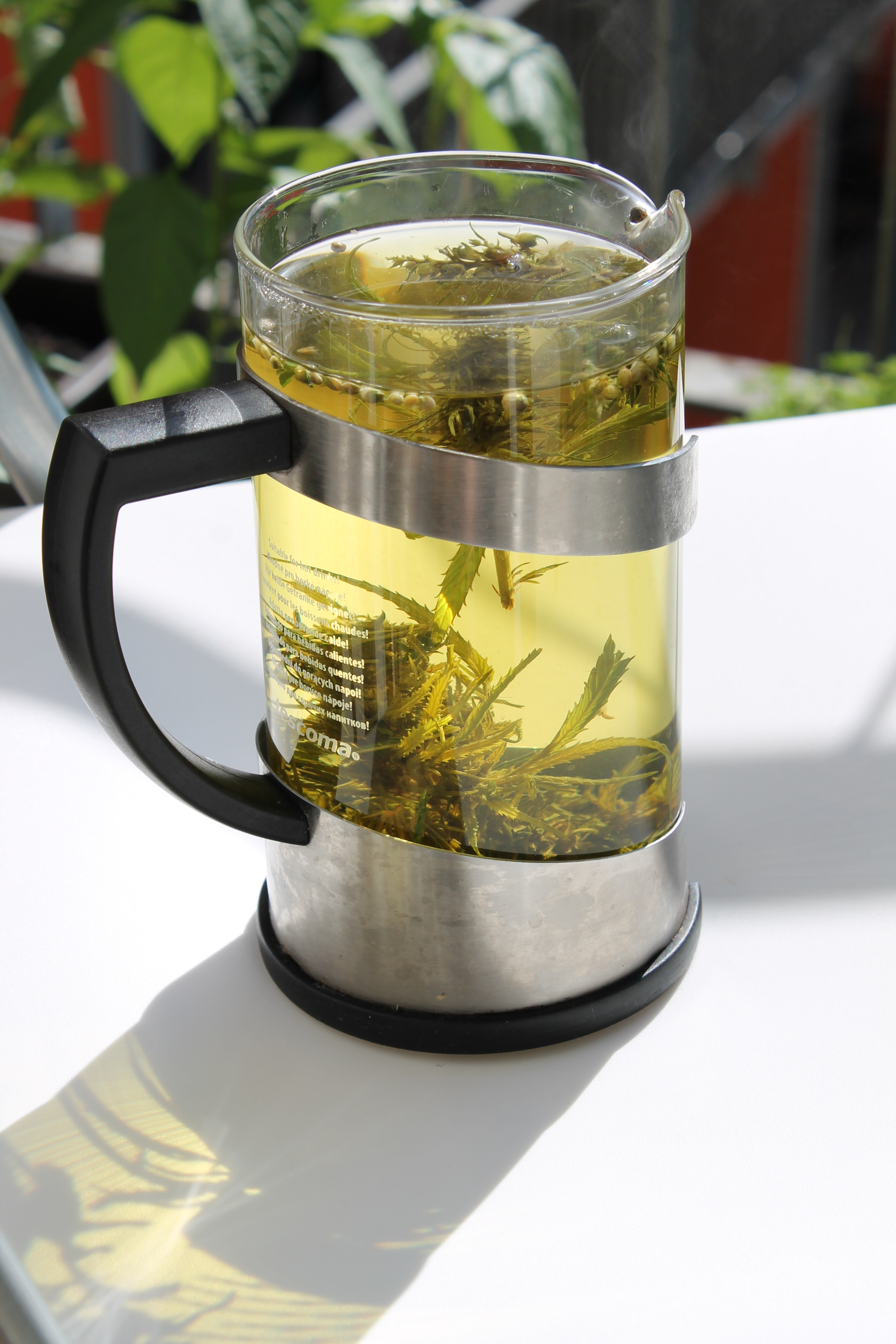 hemp tea CBD